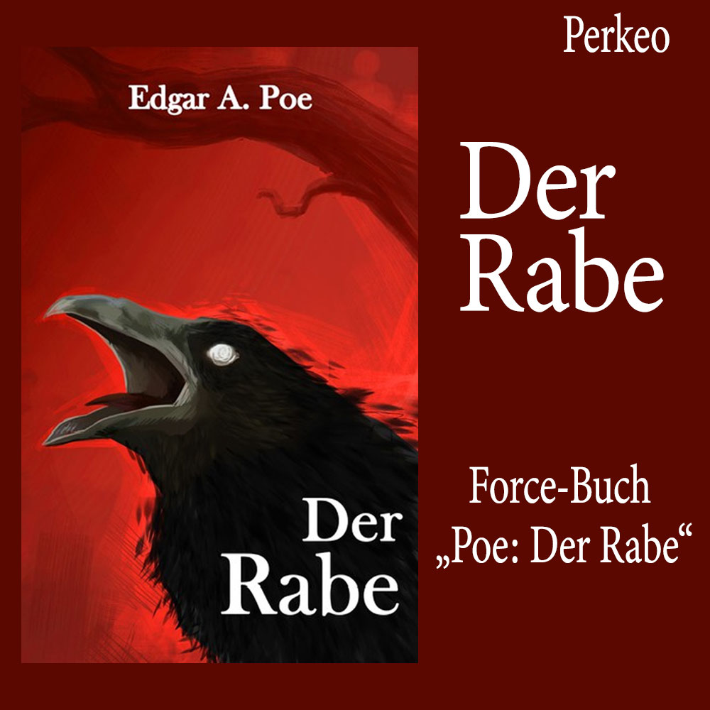 Force-Buch „Poe: Der Rabe“ Zaubeershop Frenchdrop
