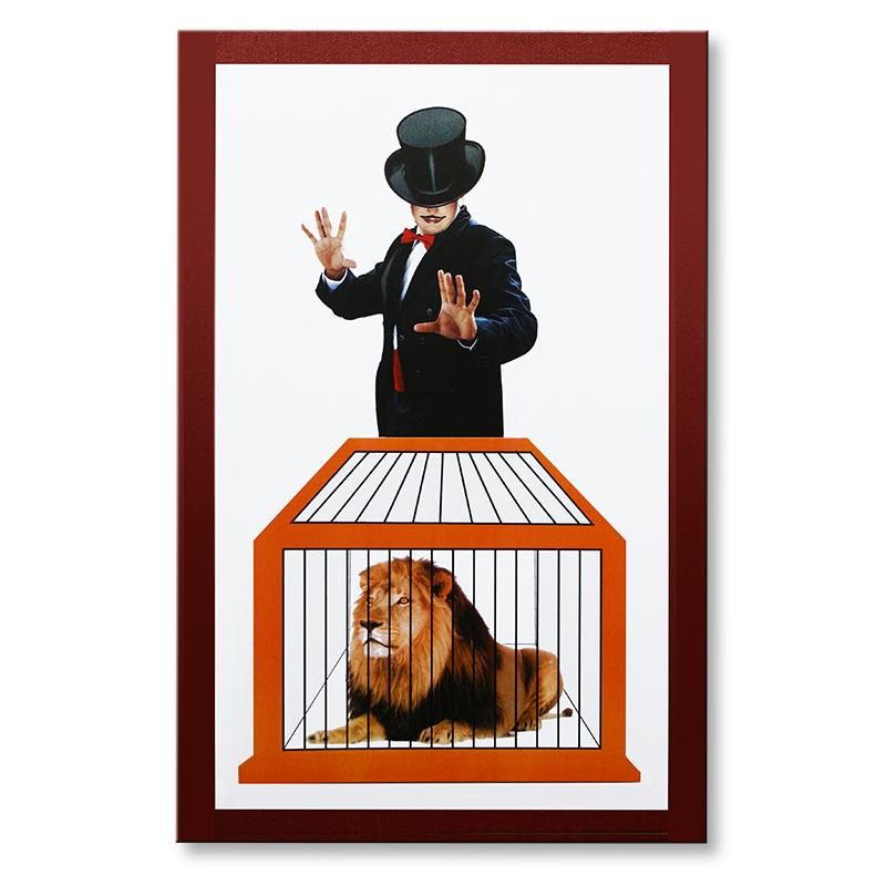 LION2_1646660452 Lion to Lady | Zaubertrick