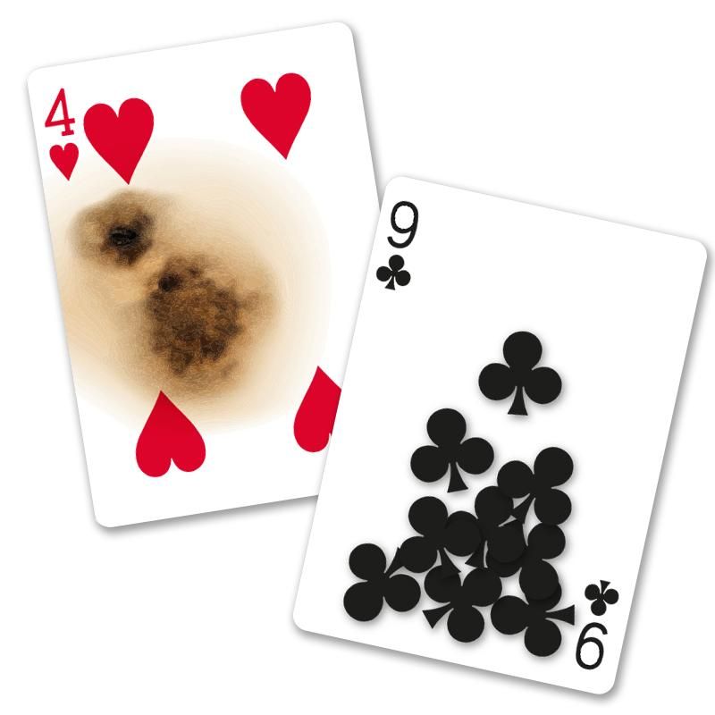 Super Gaff Deck von Bicycle | Zaubertrick